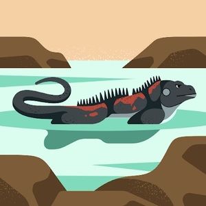 Meet your Posher, Deepthi